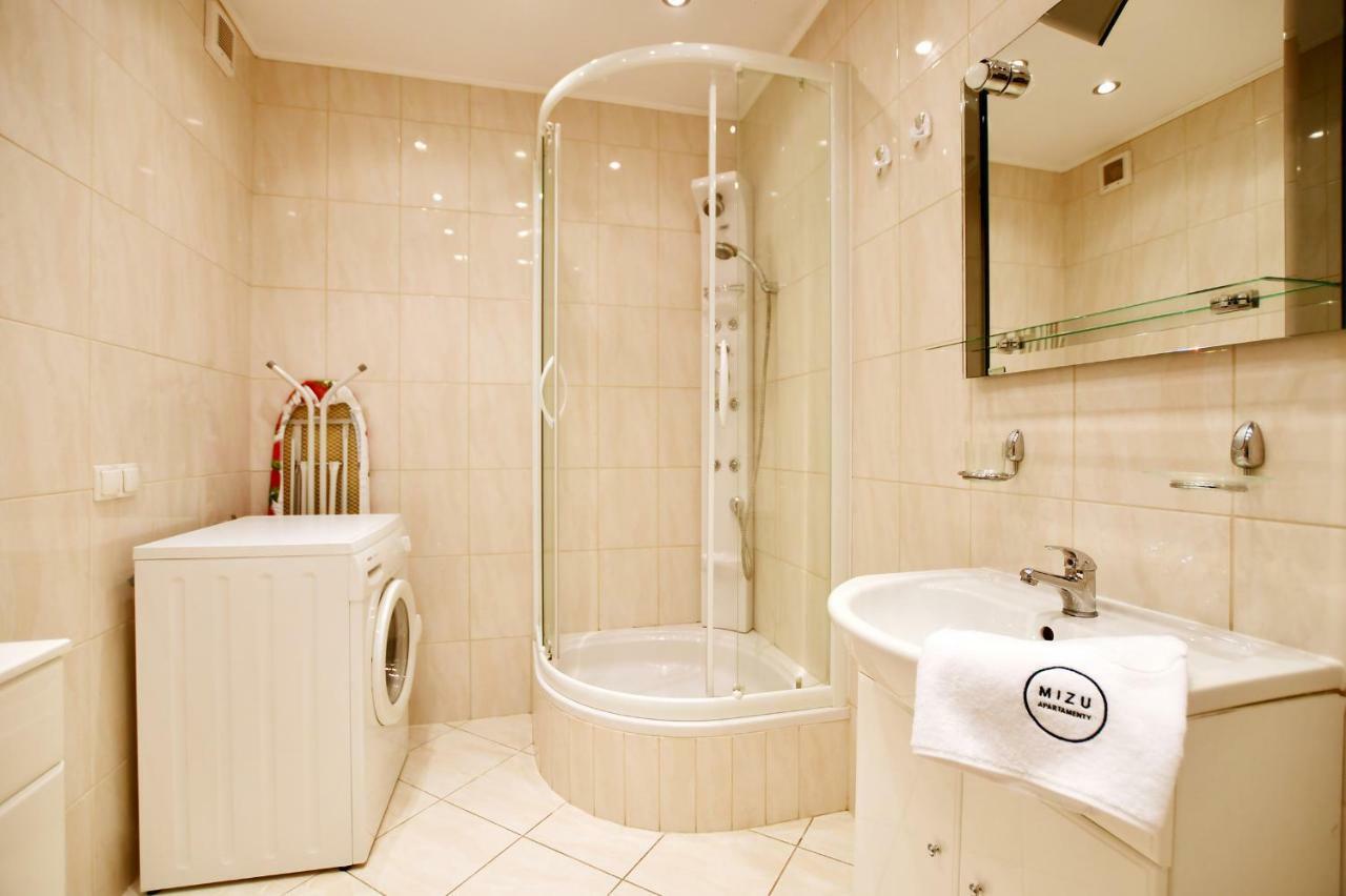 Apartament Mizu - Teatralny *